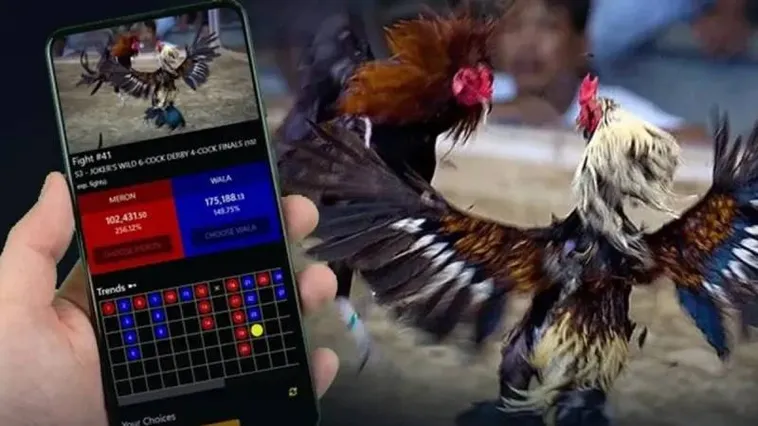 Khám Phá Đá Gà Alo789 Bùng Nổ Đam Mê Chiến Kê Đỉnh Cao Hấp Dẫn